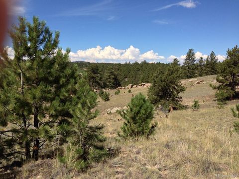 Photo of 33 Jasper Way, Hartsel, CO 80449 (MLS # S1069094)