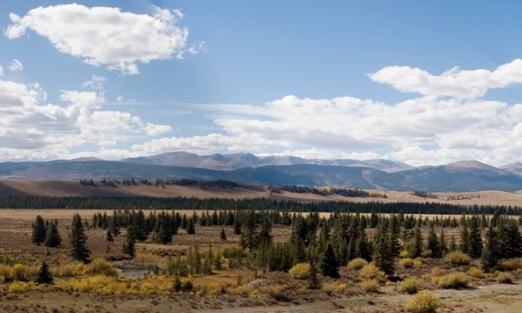 Photo of 223 Breakneck Pass Road, Fairplay, CO 80440 (MLS # S1064065)