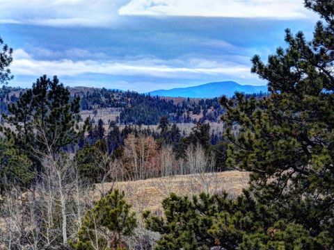 Photo of 82 Ignacio Way, Como, CO 80432 (MLS # S1064260)