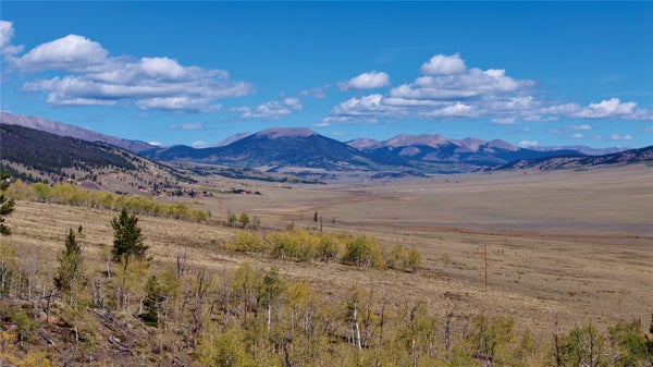 2270 REDHILL RD, FAIRPLAY, CO 80440 - Image 07bf05b2826cca2e77c664e7dccbc64d/153801661