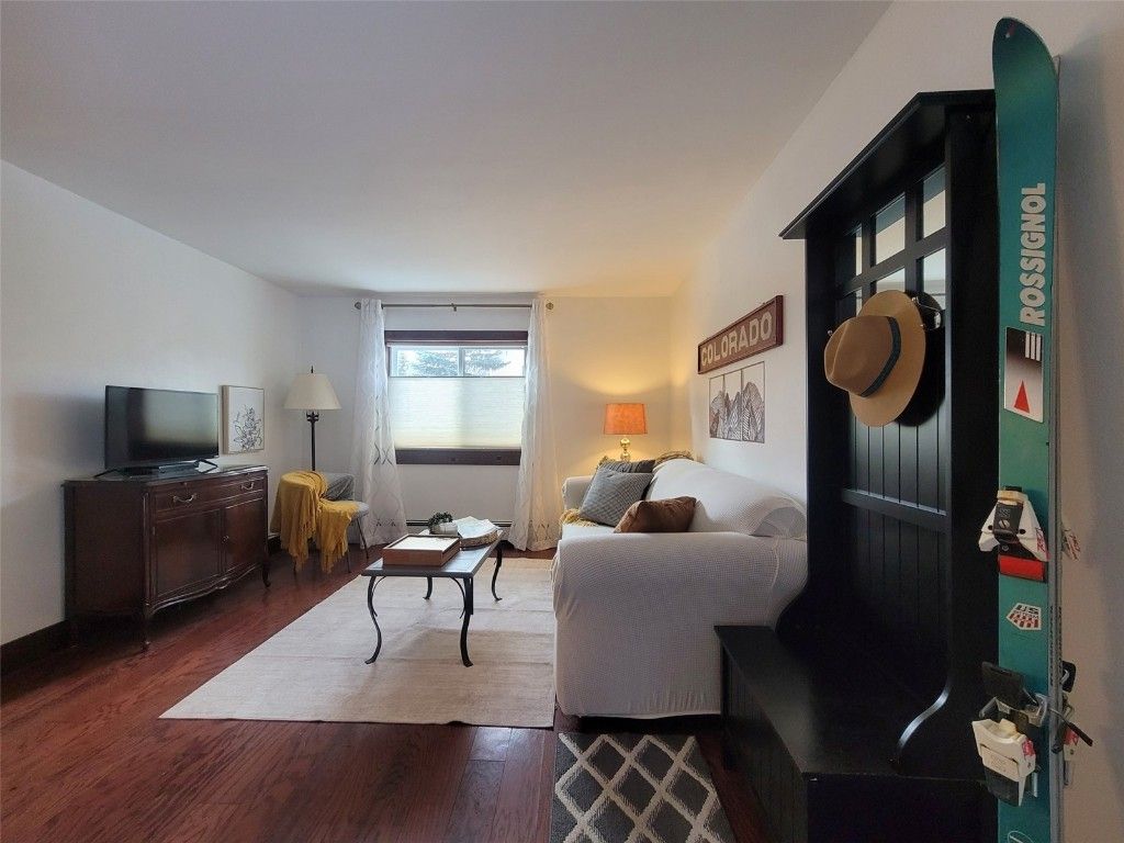 Photo of 214 S Harris Street #101, Breckenridge, CO 80424 (MLS # S1064420)