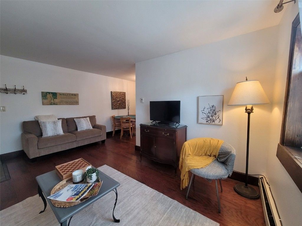 Photo of 214 S Harris Street #101, Breckenridge, CO 80424 (MLS # S1064420)