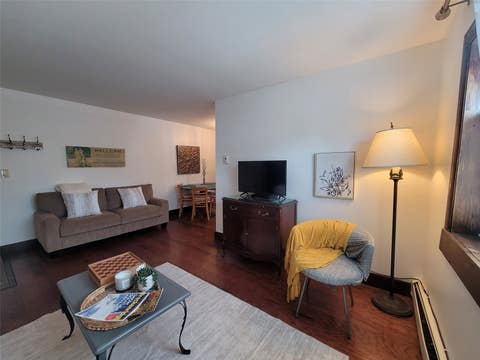 Photo of 214 S Harris Street #101, Breckenridge, CO 80424 (MLS # S1064420)