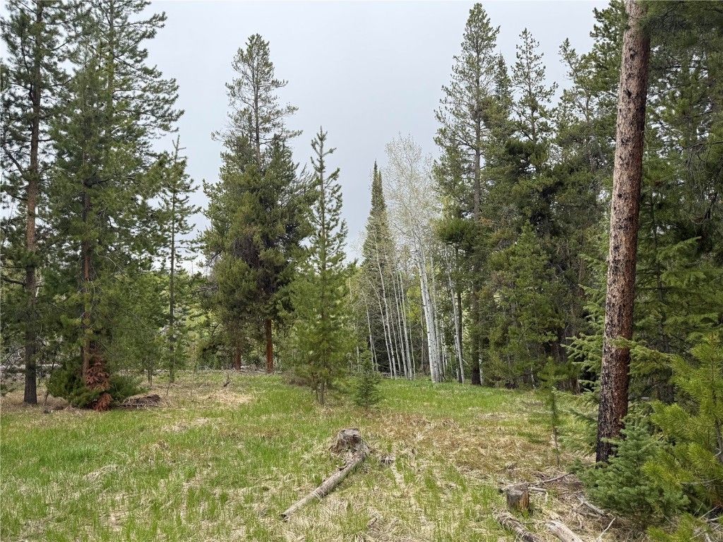 Photo of 33435 Filly Trail, Oak Creek, CO 80467 (MLS # S1058047)