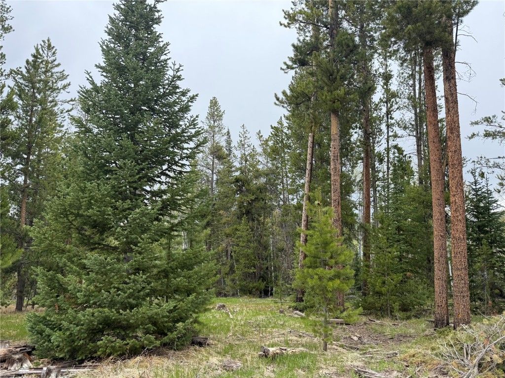 Photo of 33435 Filly Trail, Oak Creek, CO 80467 (MLS # S1058047)