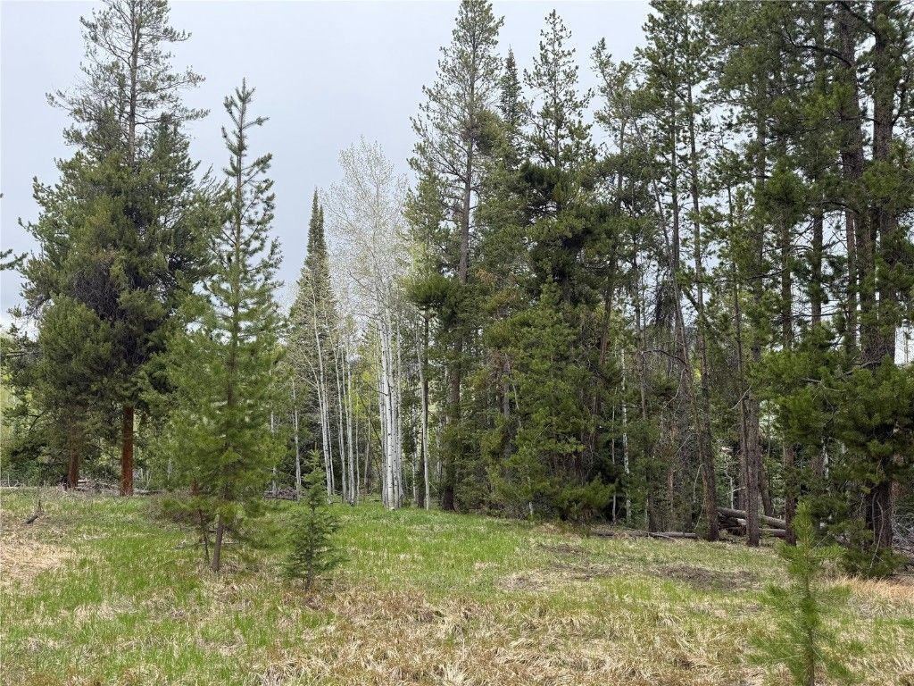 Photo of 33435 Filly Trail, Oak Creek, CO 80467 (MLS # S1058047)
