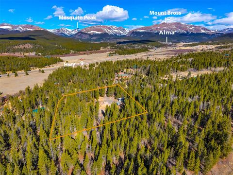 Photo of 265 Placer Drive, Alma, CO 80420 (MLS # S1068189)