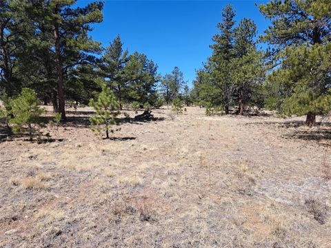 Photo of 235 Maricopa Trail, Hartsel, CO 80449 (MLS # S1068334)