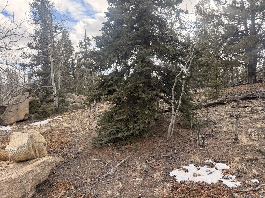 Photo of 837 Concord Drive, Jefferson, CO 80456 (MLS # S1066221)