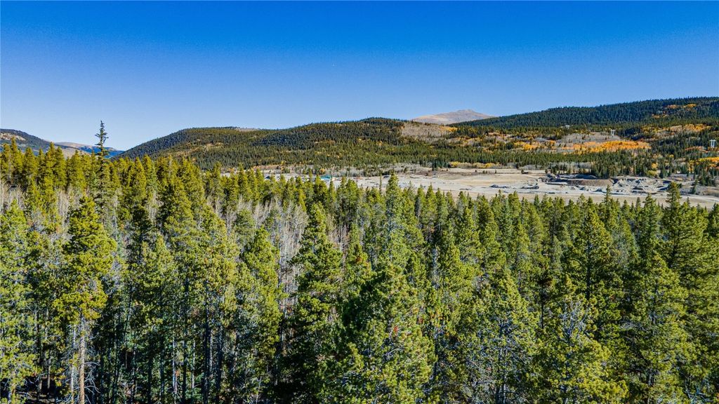 Photo of 235 Willow Lane, Alma, CO 80440 (MLS # S1064355)