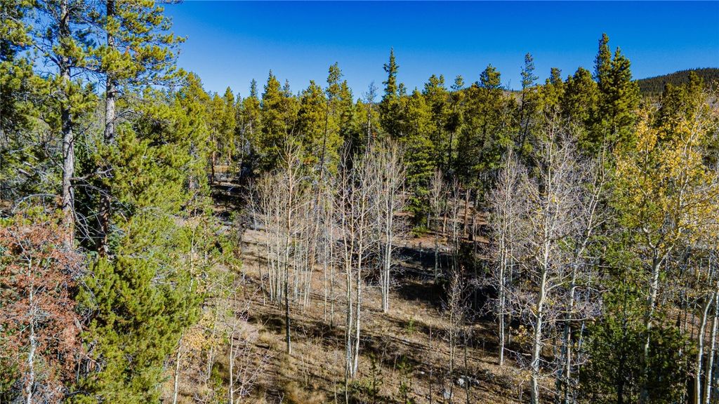 Photo of 235 Willow Lane, Alma, CO 80440 (MLS # S1064355)