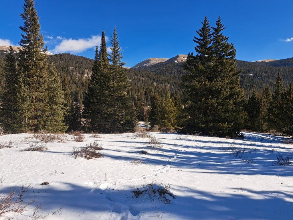 Photo of 3553 River Drive, Fairplay, CO 80440 (MLS # S1066012)