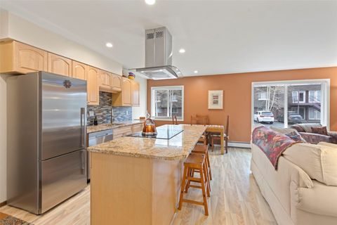 Photo of 240 E La Bonte Street #3, Dillon, CO 80435 (MLS # S1067972)