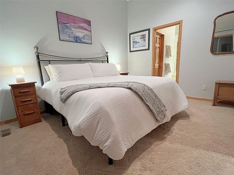 Photo of 51 Sauterne Lane, Silverthorne, CO 80498 (MLS # S1067997)