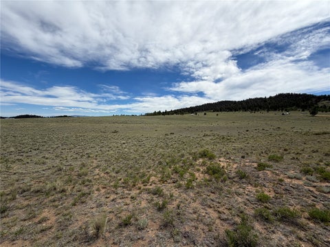 Photo of 776 Commanche Trail, Hartsel, CO 80449 (MLS # S1069752)