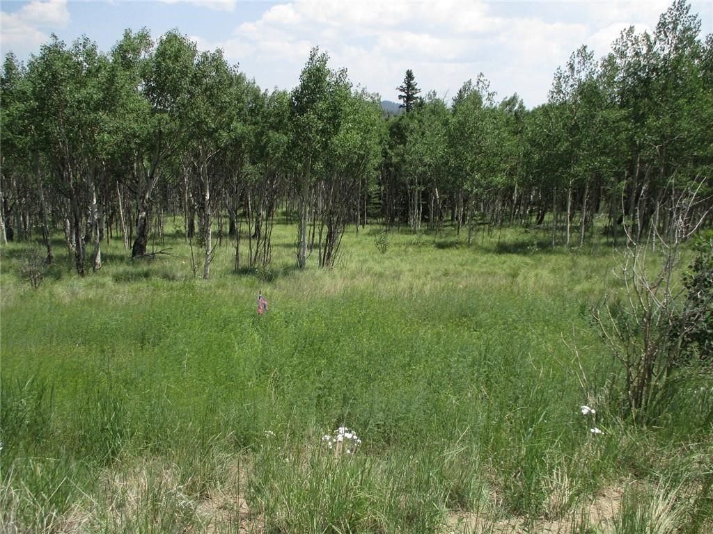 Photo of 621 Hawk Way, Como, CO 80432 (MLS # S1063850)