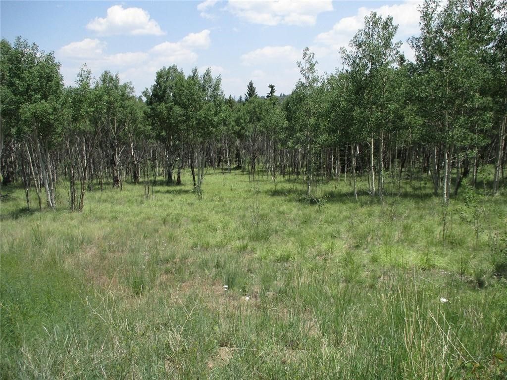 Photo of 621 Hawk Way, Como, CO 80432 (MLS # S1063850)