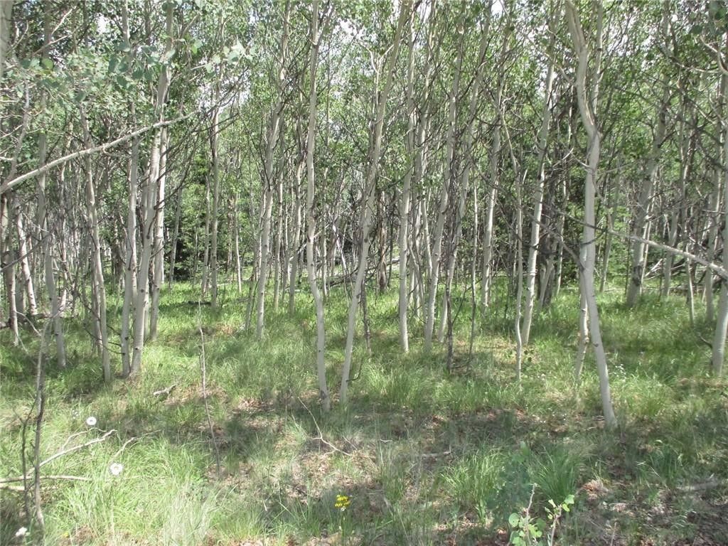 Photo of 621 Hawk Way, Como, CO 80432 (MLS # S1063850)
