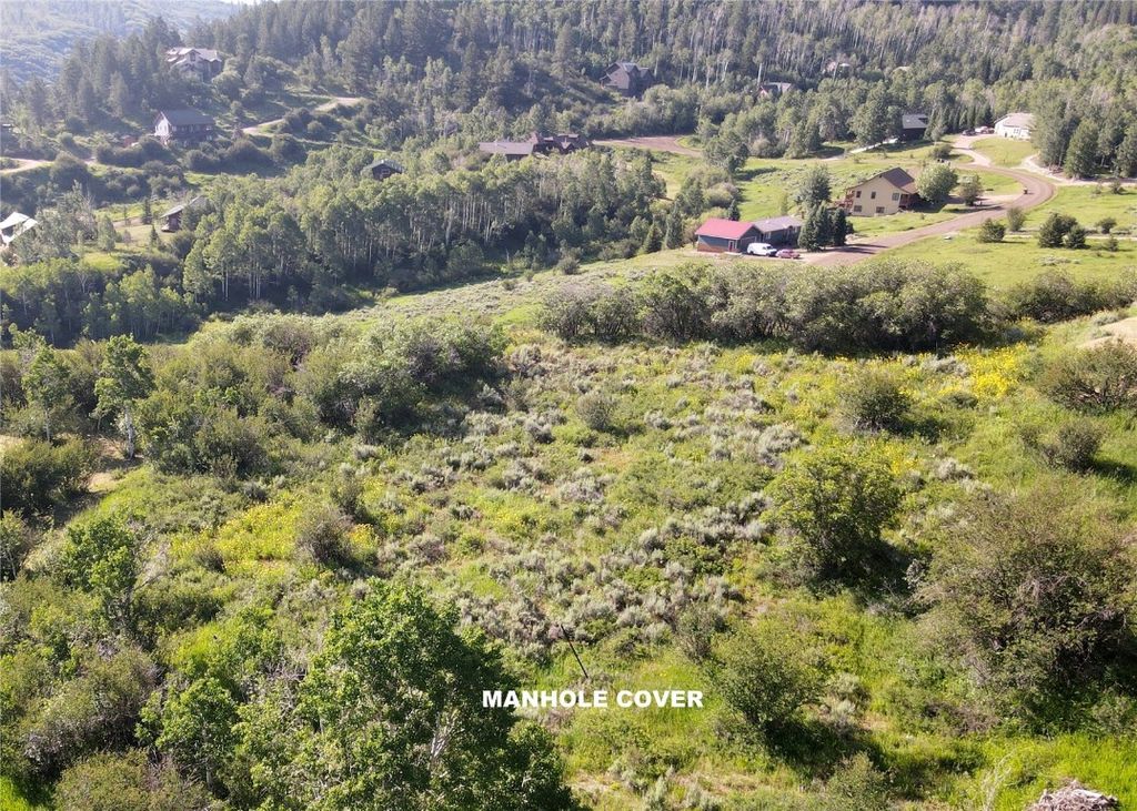 Photo of 31175 Broken Talon Trail, Oak Creek, CO 80467 (MLS # S1060069)