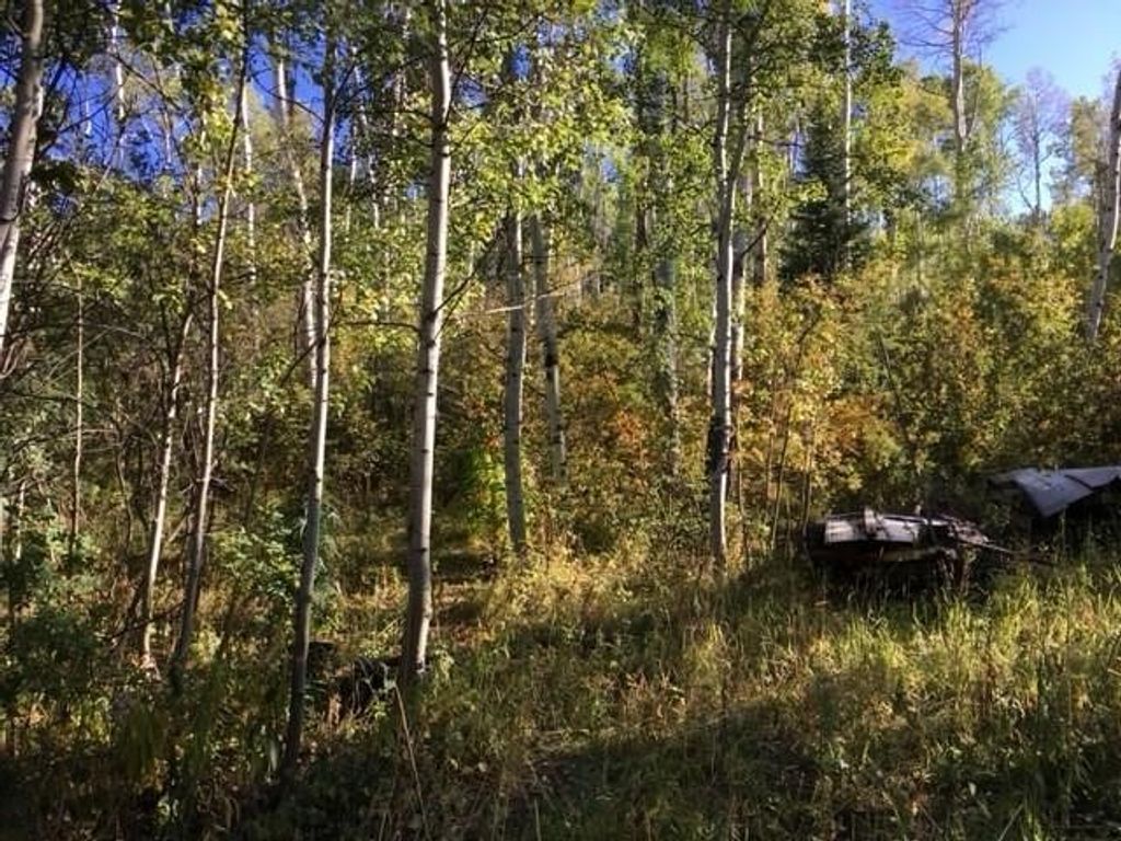 Photo of Rcr 24 Road, Steamboat Springs, CO 80487 (MLS # S1066242)