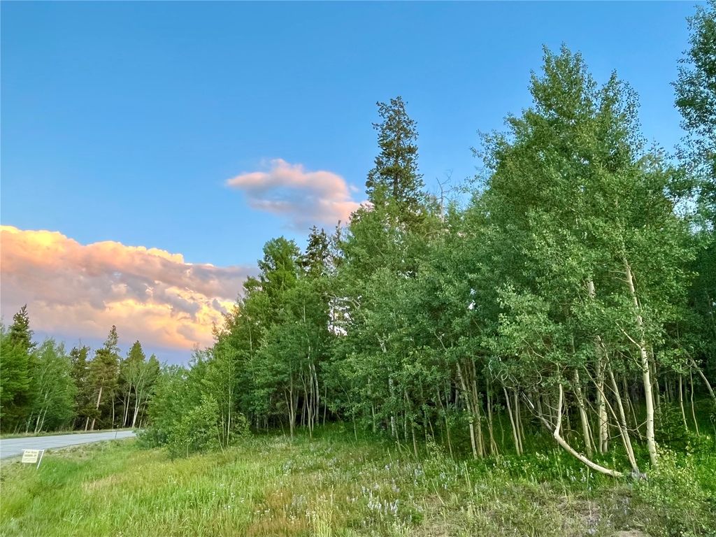 Photo of 190 Easy Bend Trail, Silverthorne, CO 80498 (MLS # S1066391)