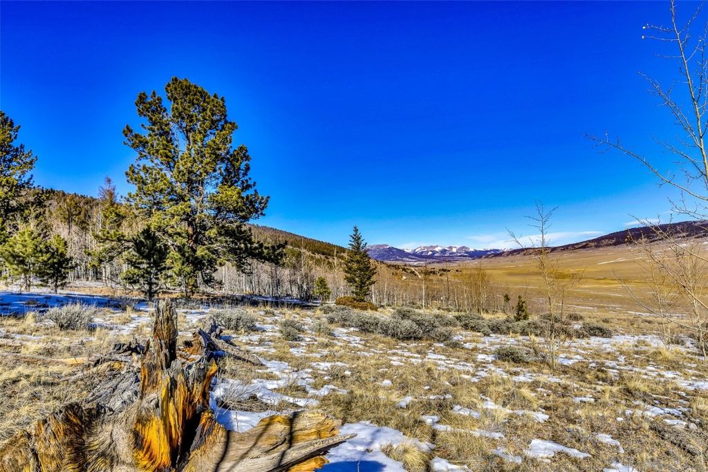 Photo of 2996 Redhill Road, Fairplay, CO 80440 (MLS # S1065736)