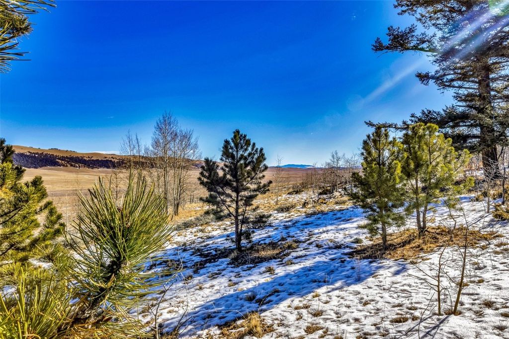 Photo of 2996 Redhill Road, Fairplay, CO 80440 (MLS # S1065736)