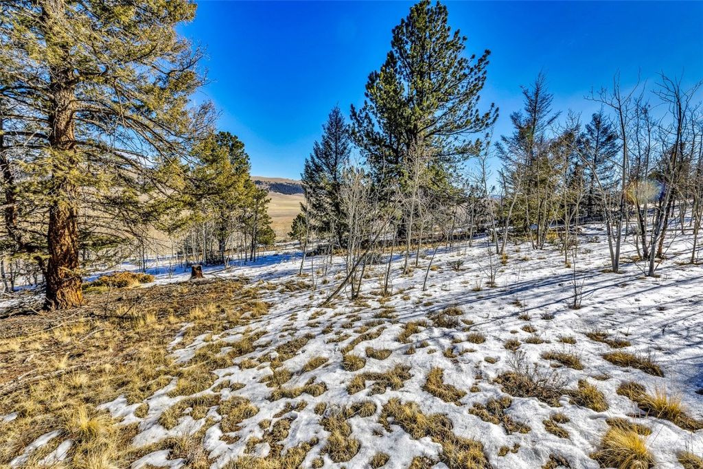 Photo of 2996 Redhill Road, Fairplay, CO 80440 (MLS # S1065736)
