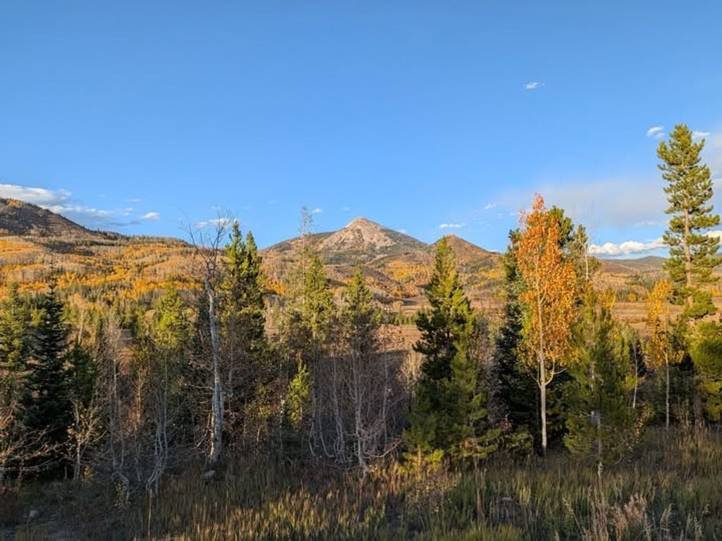 Photo of Powderhorn Rd, Clark, CO 80428 (MLS # S1064246)