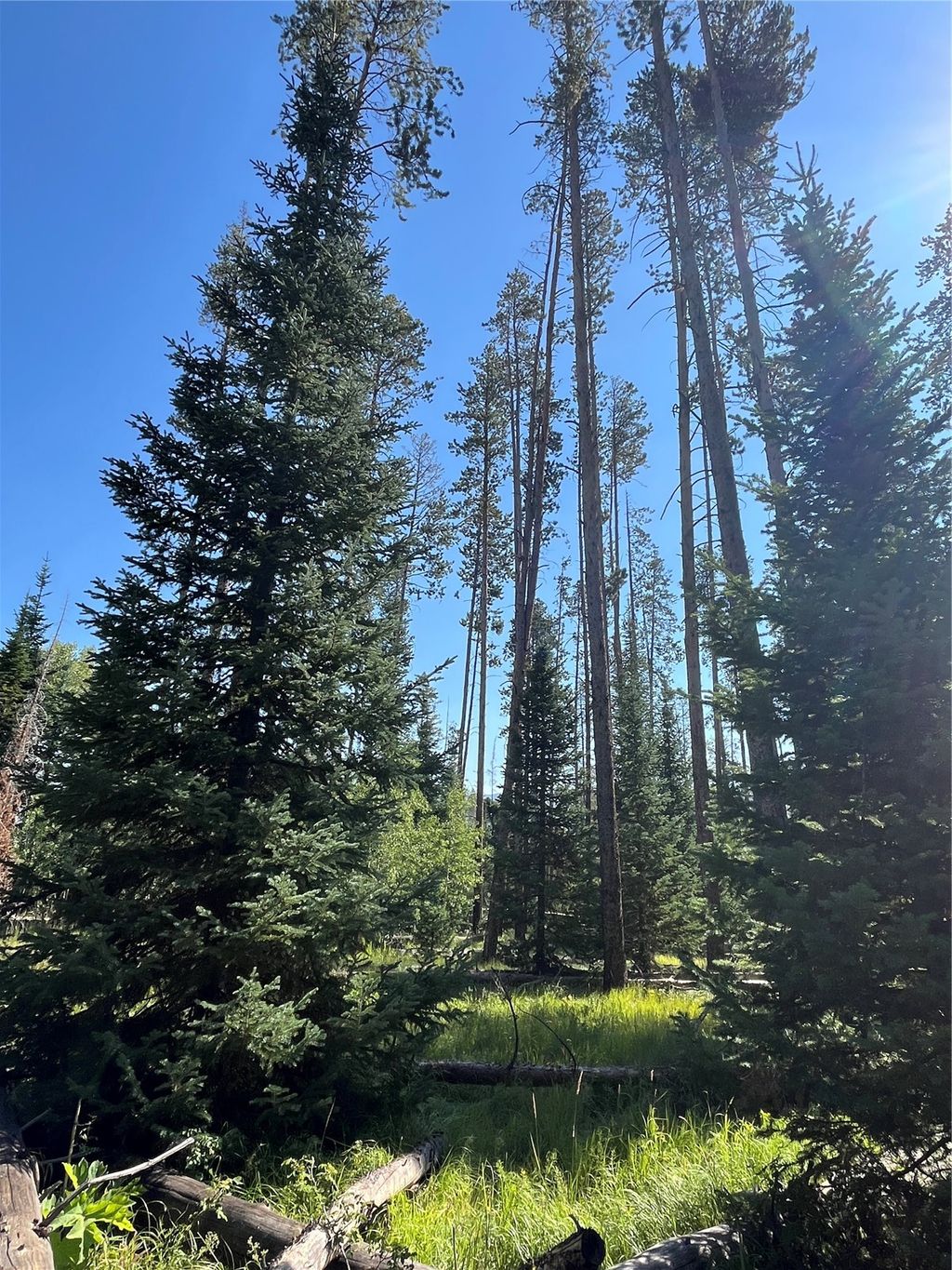 Photo of Cutter Trail, Oak Creek, CO 80467 (MLS # S1066409)