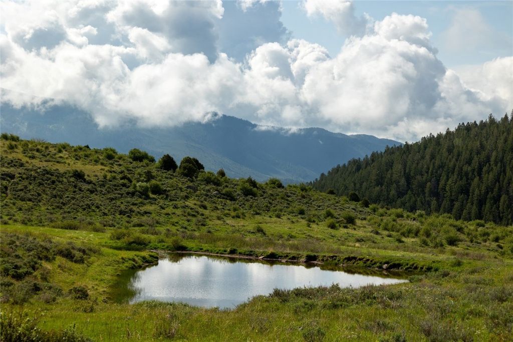 Photo of 8034 State Highway 131, Toponas, CO 80479 (MLS # S1060099)