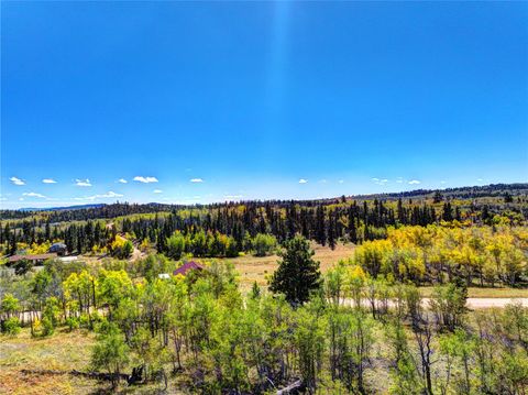 Photo of 1300 Warrior Circle, Como, CO 80432 (MLS # S1068133)