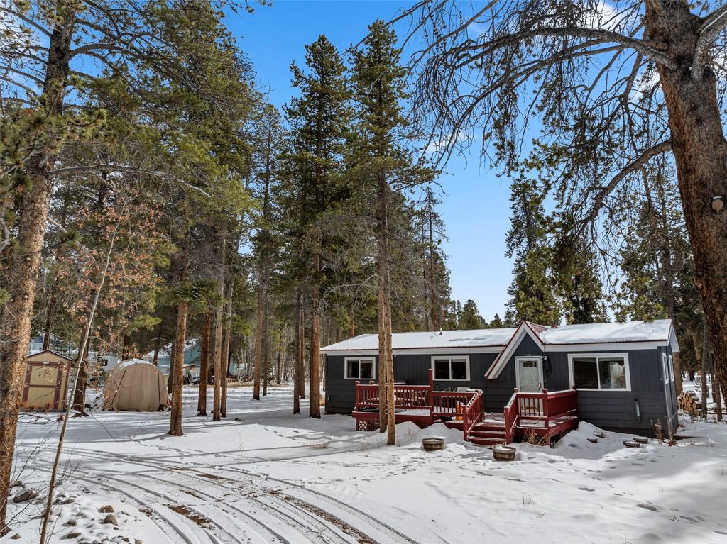 Photo of 1460 Mountain View Drive, Leadville, CO 80461 (MLS # S1066046)