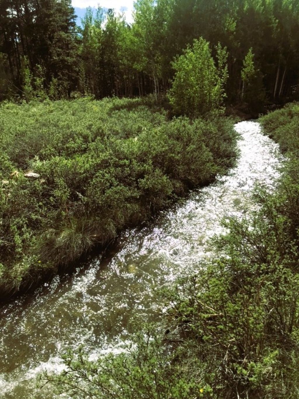 Photo of 542 Thickspike Road, Fairplay, CO 80440 (MLS # S1064348)