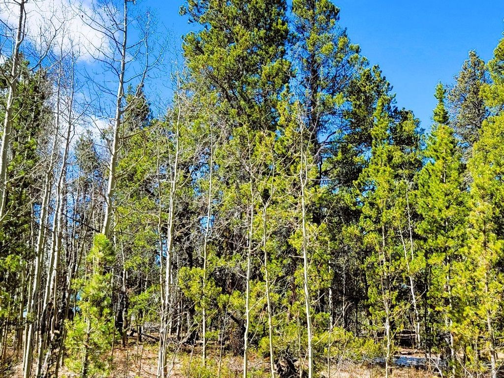 Photo of 542 Thickspike Road, Fairplay, CO 80440 (MLS # S1064348)