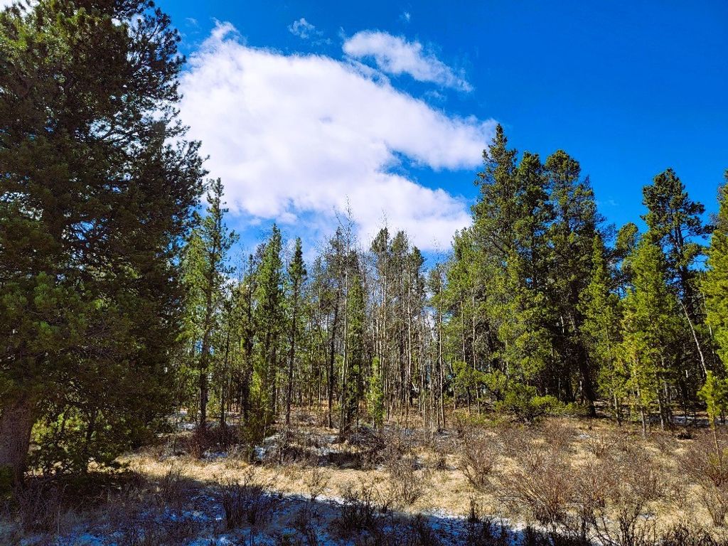 Photo of 542 Thickspike Road, Fairplay, CO 80440 (MLS # S1064348)