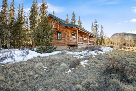 Photo of 340 Kootchie Kootchie Road, Fairplay, CO 80440 (MLS # S1067572)