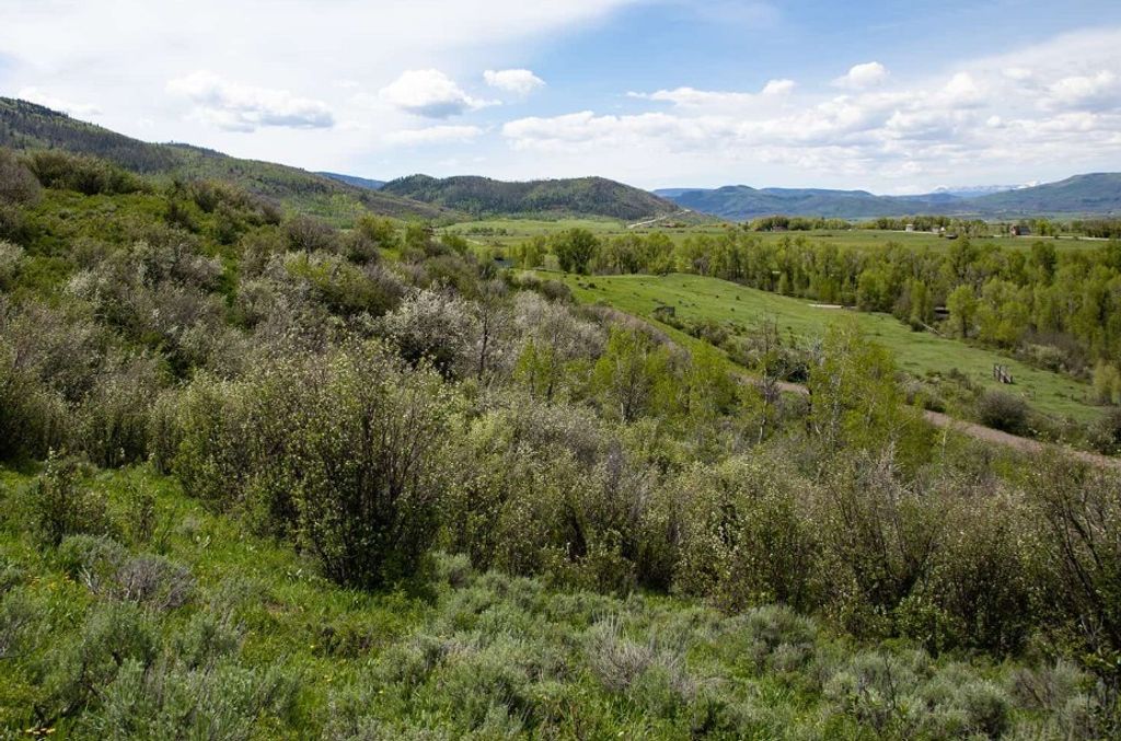 Photo of 34395 Waterside Court, Steamboat Springs, CO 80487 (MLS # S1062449)
