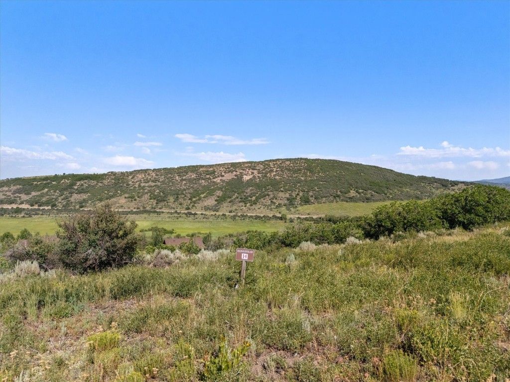 Photo of 32095 Judges Viewpoint, Oak Creek, CO 80467 (MLS # S1060061)