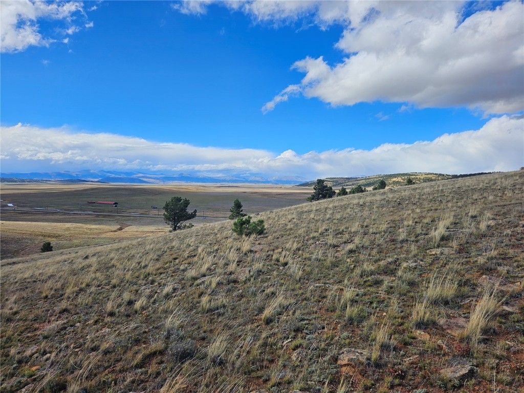Photo of 25251 Fernando Trail, Hartsel, CO 80456 (MLS # S1064210)
