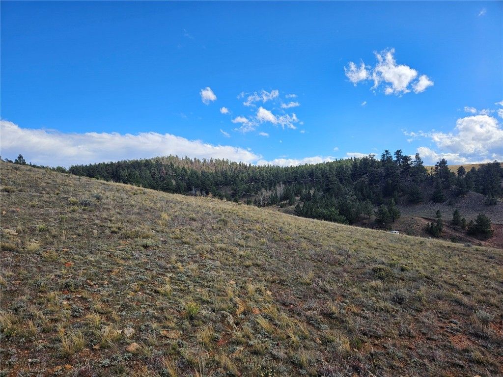 Photo of 25251 Fernando Trail, Hartsel, CO 80456 (MLS # S1064210)