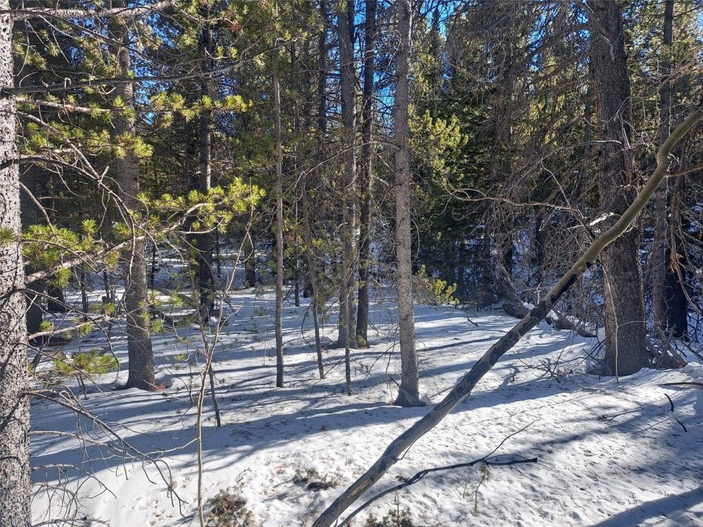 Photo of 121 Secluded Court, Fairplay, CO 80440 (MLS # S1064614)