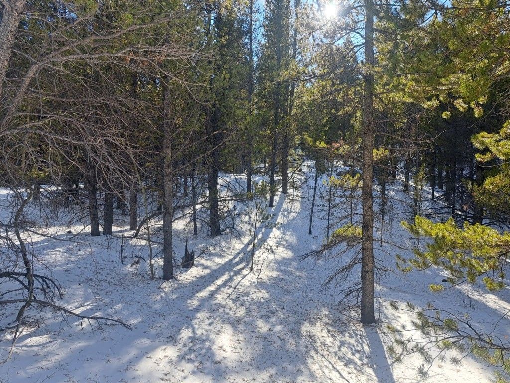 Photo of 121 Secluded Court, Fairplay, CO 80440 (MLS # S1064614)