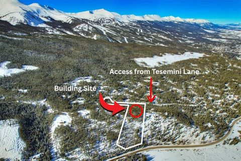 Photo of 62 Tesemini Lane, Blue River, CO 80424 (MLS # S1065911)