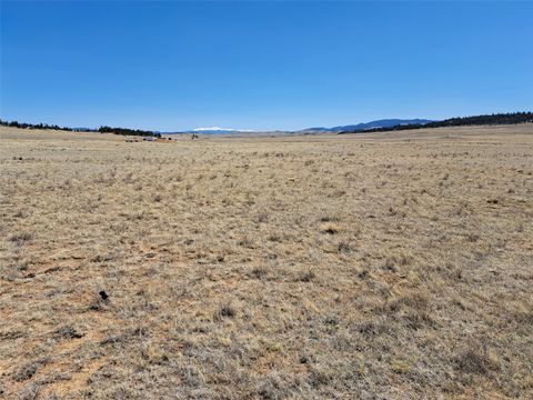 Photo of Chickasaw Road, Hartsel, CO 80449 (MLS # S1068340)