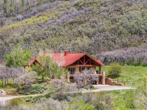 Photo of 31485 Deerwood Ranch Road, Oak Creek, CO 80467 (MLS # S1068916)