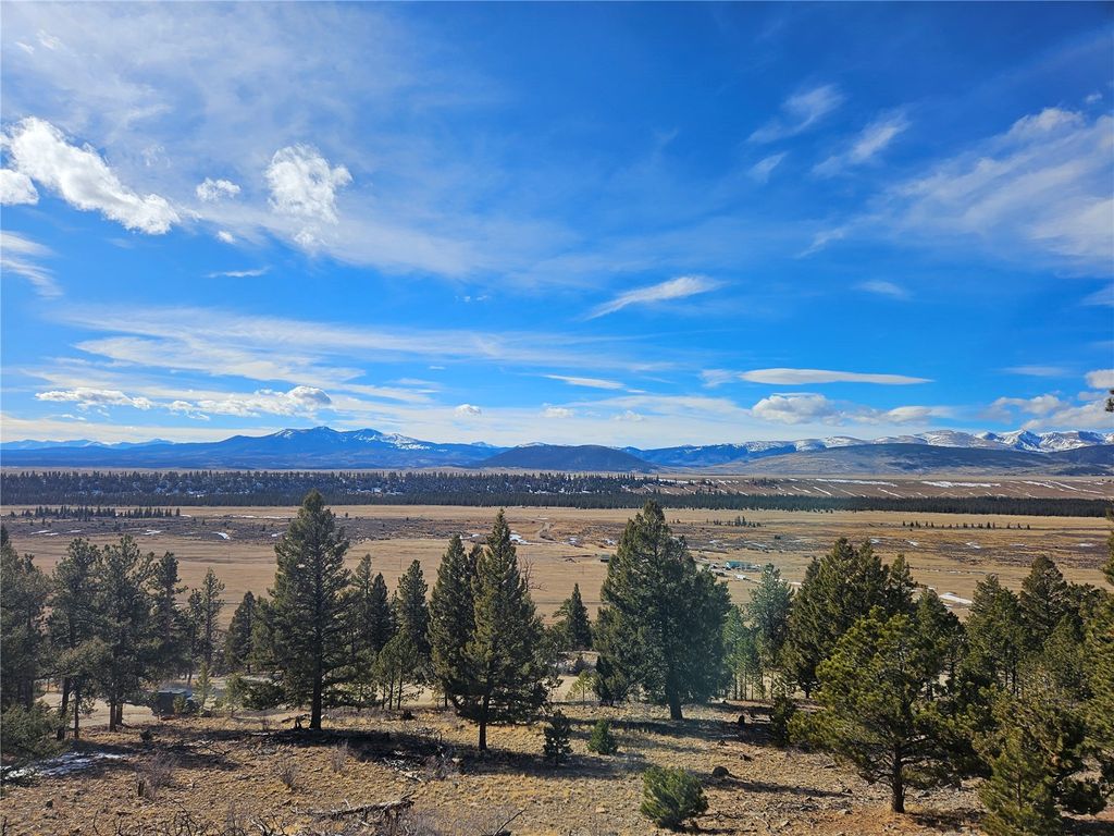 Photo of 395 Bonell Drive, Fairplay, CO 80440 (MLS # S1066147)