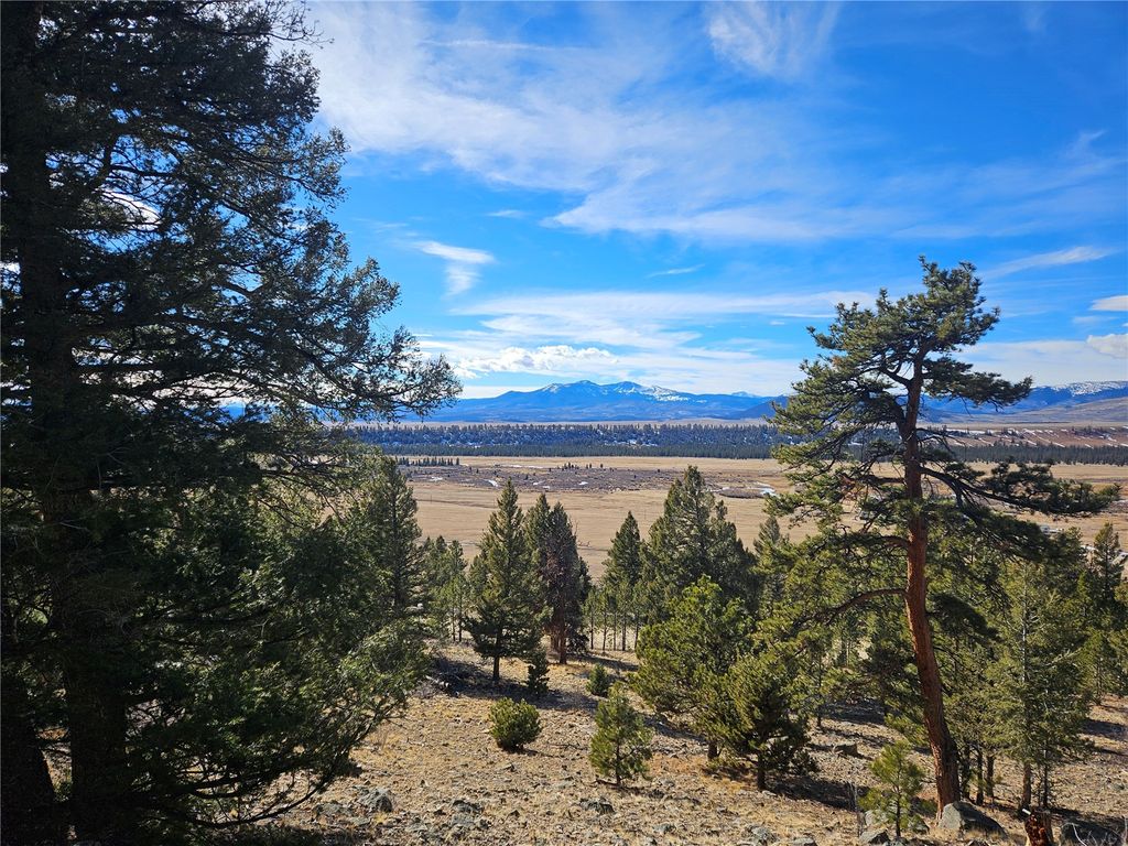 Photo of 395 Bonell Drive, Fairplay, CO 80440 (MLS # S1066147)