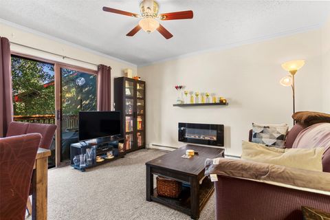 Photo of 304 Illinois Gulch Road #204, Breckenridge, CO 80424 (MLS # S1067974)