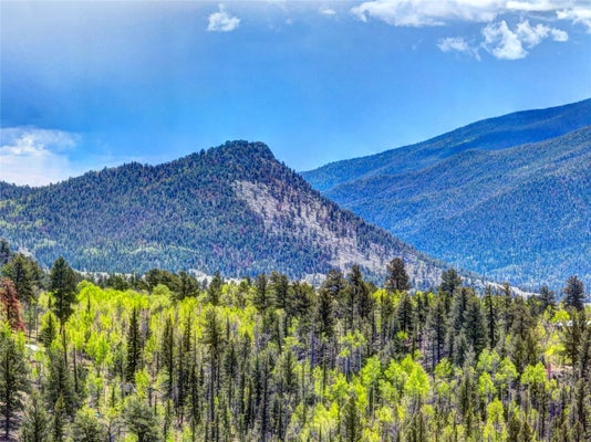 75 YORK CT, JEFFERSON, CO 80456 - Image 293a1b4fa6dd94abd40f38697b80cdd8/2205717187
